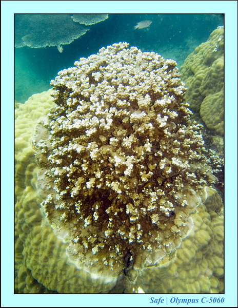 2008 - 07 - Perhentian - 001